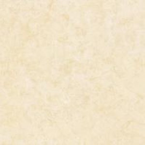 Gạch Trường Thịnh TT88010